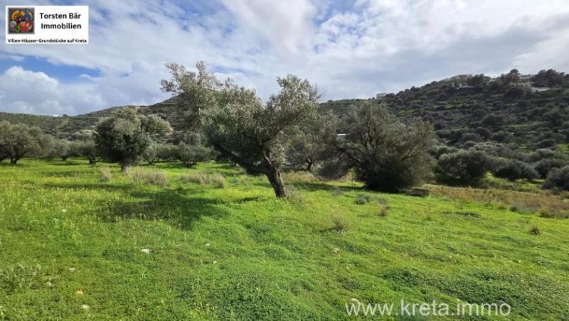 Kalamaki Kreta, Kalamaki Grundstück 2.600 m² zu verkaufen Grundstück kaufen